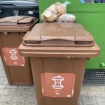 Czy wiesz, jak dobrze segregować śmieci?